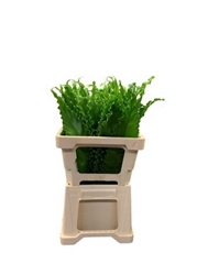 Decogroen Ov Bs 50cm