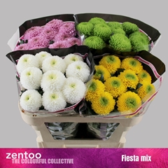 Chr G Mixed 70cm 80gram