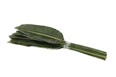 Strelitziablad