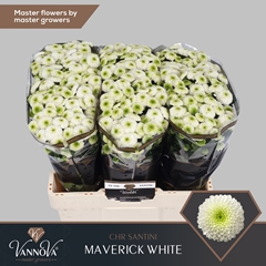 Chr San Maverick 55cm 150g