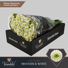 Chr San Maverick 55cm 150g