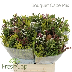 Kaaps Groe Gem In Bs 40cm