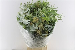 Euc Mixed Per Bunch 70cm 300gram