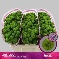 Chr S Aaa Peptalk 55cm 100g