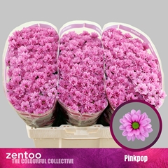 Chr S Aaa Pinkpop 55cm 110g