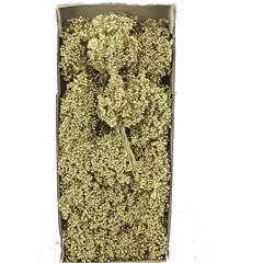 Schinus M Dec Bes Bs 30cm 200gram