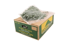 Leatherleaf 35cm