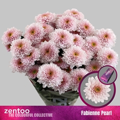 Chr T Fabienne Pearl 70cm 75gram