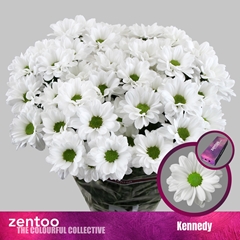 Chr T Kennedy 70cm 80gram