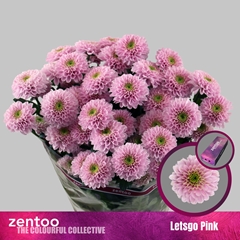 Chr T Letsgo Pink 65cm 75gram