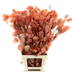 Droogbl Bewerkt H% 70cm 150gram