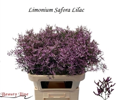 Lim Safora Lilac 80cm 40gram