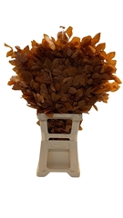 Decorgr Klb Pb 21% 75cm