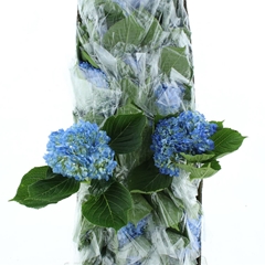 Hydr Other 60cm 19cm Ø
