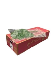 Leatherleaf 65cm