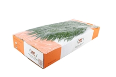 Phoenix Roebeleni Bs 80cm