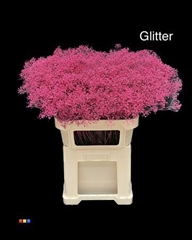 Gyps Colortreated 80cm