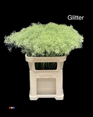 Gyps Colortreated 80cm