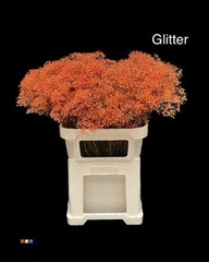 Gyps Colortreated 80cm