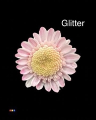 Chr T Stallion Dusty Pastel Pink + Glit Bio