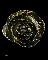Brassica Black + Splash Orange