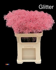 Gyps Million Star Pink + Glit Bio
