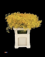 Gyps Colortreated 80cm