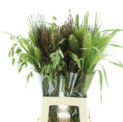 Siergr Gem Fust 70cm