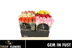 R Gr Mixed In Bucket 40cm