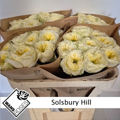 R Gr Solsbury Hill