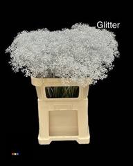 Gyps Colortreated 80cm