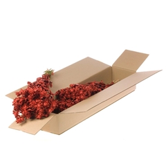 Droogbl Bewerkt H% 50cm 90gram