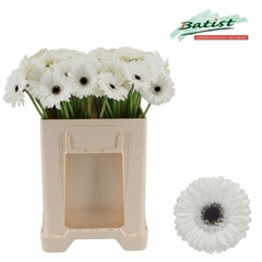 Germini Lido 50cm 7cm Ø