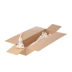 Droogbl Bewerkt H% 60cm