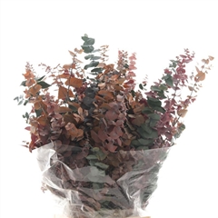 Eucalyp Klb Bs H% 70cm 150gram
