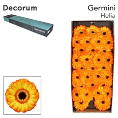 Ge Mi Helia 45cm 7cm Ø