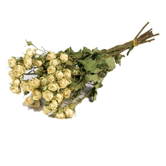 Dried Flowers 100 Gram 45cm