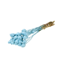 Droogbl Bewerkt H% 55cm