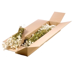 Dried Flowers 100 Gram 40cm