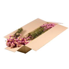 Dried Flowers 100 Gram 50cm