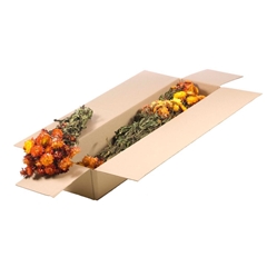 Dried Flowers 100 Gram 50cm