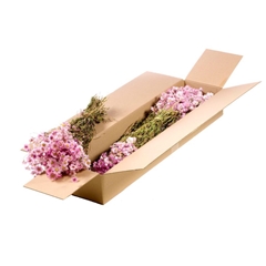 Dried Flowers 100 Gram 50cm