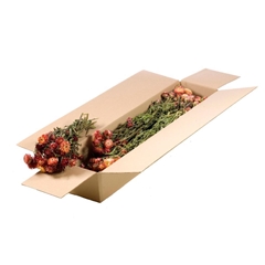 Dried Flowers 100 Gram 45cm