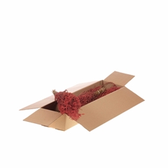Droogbl Bewerkt H% 45cm