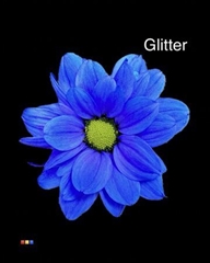 Chr T Chic Blue + Glit Bio