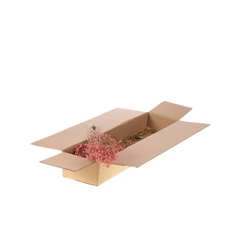 Droogbl Bewerkt H% 60cm