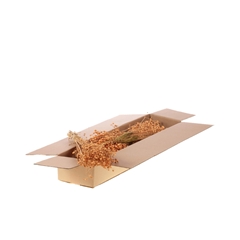 Droogbl Bewerkt H% 40cm