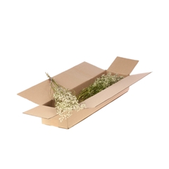 Dried Flowers 100 Gram 60cm