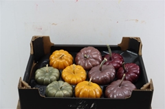 Halloween Toevoe 21%
