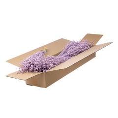 Droogbl Bewerkt H% 40cm